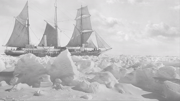 Bienvenida Shackleton Blog
